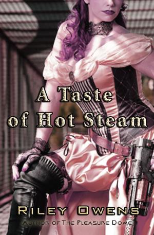 Cover of the book A Taste of Hot Steam: A Tale of Threesome Paranormal Sex by Sherryl Caulfield