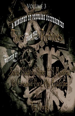 Cover of the book Tales from the Archives: Volume 3 by Camden Farley