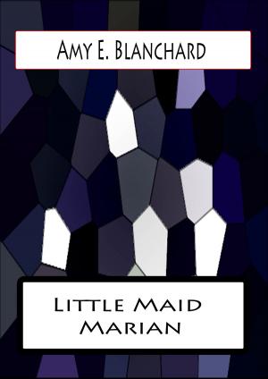 Book cover of Little Maid Marian