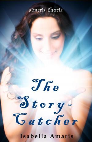 bigCover of the book The Story-Catcher: A Fantasy Short Story by 