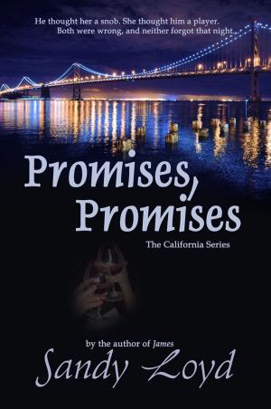 Cover of the book Promises, Promises by Colby R. Rice