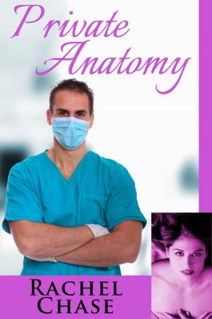 Cover of the book Private Anatomy by Meg Silver