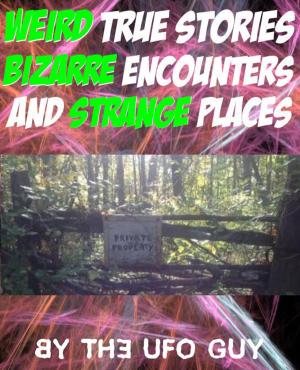 Book cover of Weird True Stories, Bizarre Encounters and STRANGE Places