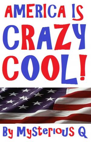 Cover of AMERICA IS CRAZY COOL!