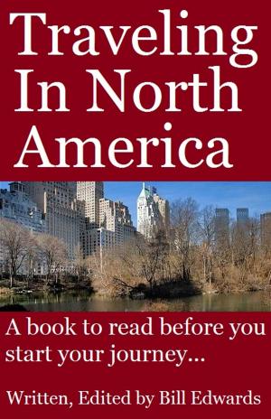 Cover of the book Traveling In North America by Magdalena Matulewicz