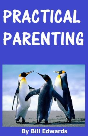 Cover of the book Practical Parenting by Francine Silverman