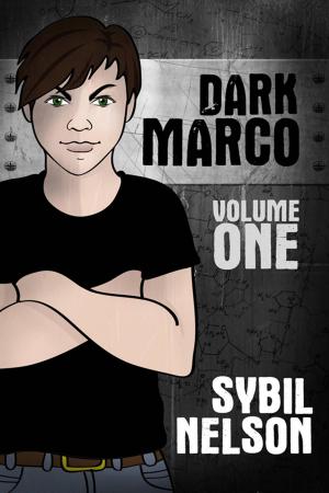 Cover of the book Dark Marco Vol. 1 by Rhonda Parrish (editor), Alexandra Seidel (editor)