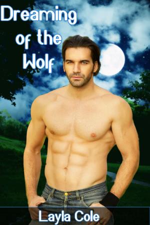 bigCover of the book Dreaming of the Wolf by 