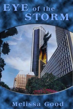 Cover of the book Eye of the Storm by K. Aten