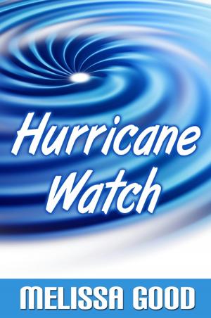 Book cover of Hurricane Watch