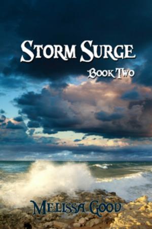 Cover of the book Storm Surge by Thomas Timmins