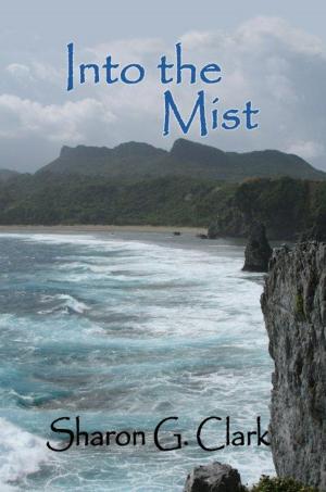 Book cover of Into The Mist