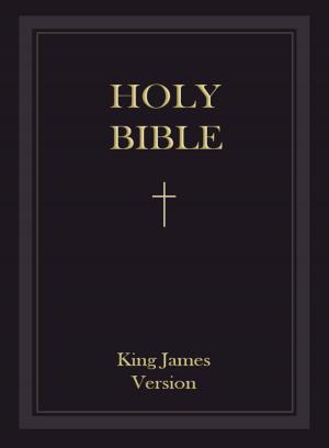 Book cover of King James Bible: The Holy Bible - Authorized King James Version - KJV (Old Testament and New Testaments)