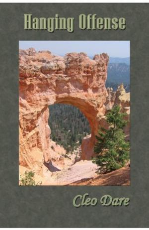 Cover of the book Hanging Offense by Heather Leigh