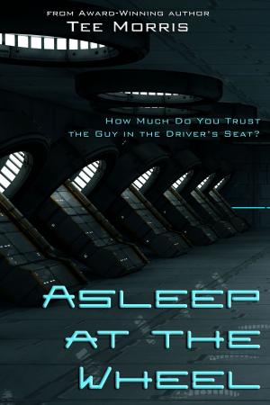 Book cover of Asleep at the Wheel