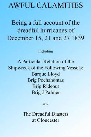Cover of the book AWFUL CALAMITIES: BEING A FULL ACCOUNT OF THE DREADFUL HURRICANES OF DEC. 15, 21 AND 27, 1839 by J M Tuttle, G W Schatzel