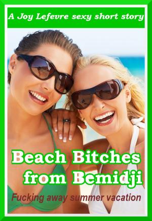 Book cover of Beach Bitches from Bemidji:Fucking away summer vacation