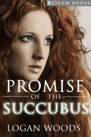 Cover of the book Promise of the Succubus by Tyra Vaughn, Steam Books
