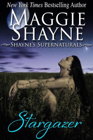 Cover of the book Stargazer by Maggie Shayne