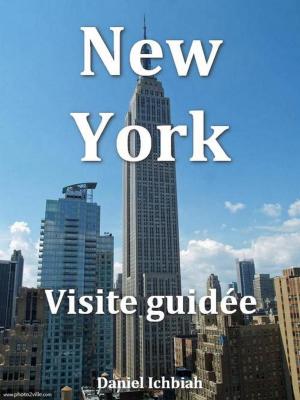 Cover of the book New York by Daniel Ichbiah
