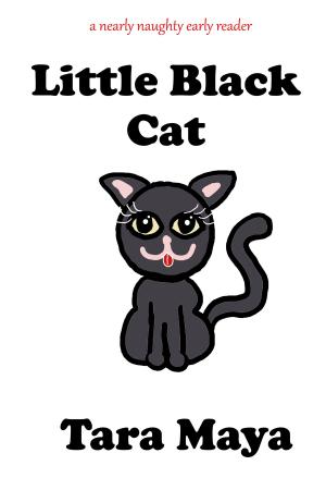 Book cover of Little Black Cat
