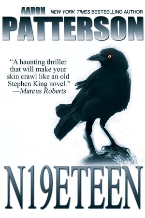 Book cover of N19eteen