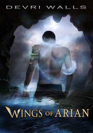 Cover of the book Wings of Arian by Rob E. Boley