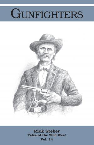 Book cover of Gunfighters