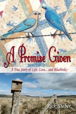 Book cover of A Promise Given