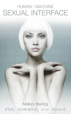 Cover of the book Human Machine Sexual Interface by Ashley Du Toit