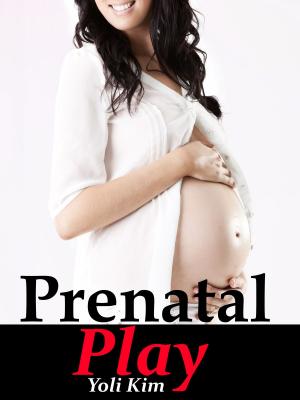 Cover of the book Prenatal Play by Pat Powers