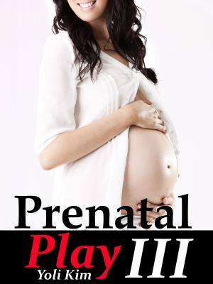 Cover of Prenatal Play 3