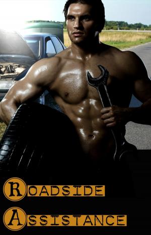 Cover of the book Roadside Assistance by DC James