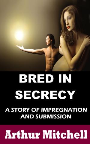 Cover of the book Bred in Secrecy: A Story of Impregnation and Submission by Ella Mansfield