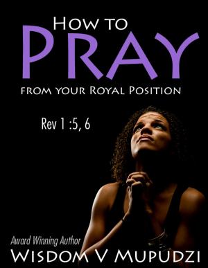 Cover of the book How to Pray from your Royal Position by Sandy David Kirk