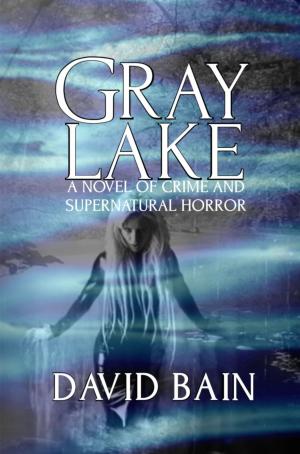 Cover of the book Gray Lake by Tom G.H. Adams