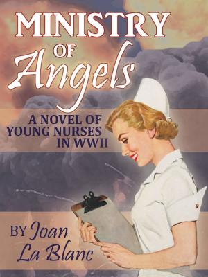 Cover of the book MINISTRY OF ANGELS by Joan La Blanc