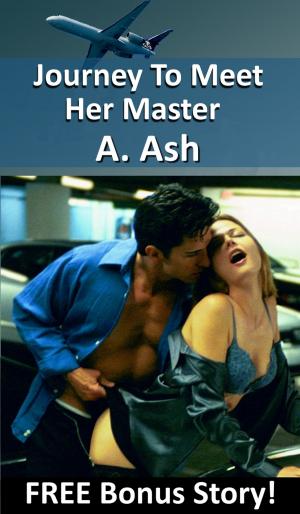 Cover of the book Journey to Meet Her Master by Lorraine Pestell