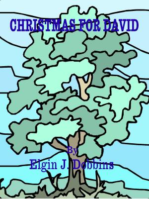 Cover of the book Christmas For David by Elgin J. Dobbins