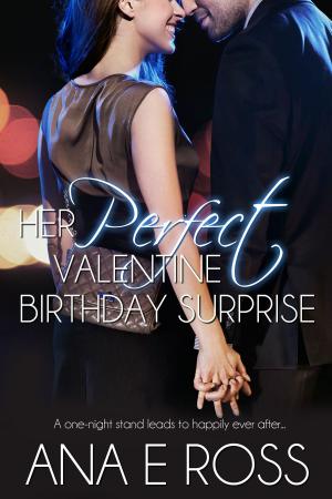 Cover of the book Her Perfect Valentine Birthday Surprise by R.Z. Kohls