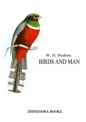 Cover of the book Birds And Man by Edward Bulwer-Lytton