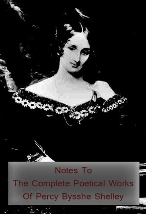 bigCover of the book Notes To The Complete Poetical Works Of Percy Bysshe Shelley by 