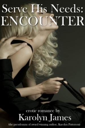 bigCover of the book Serve His Needs - Encounter by 