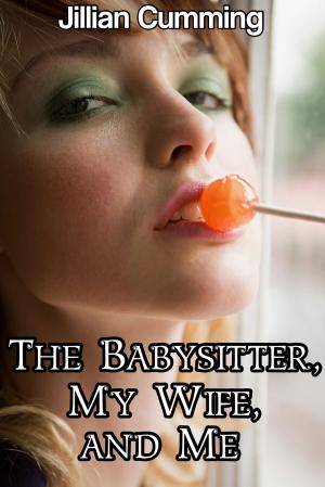 Cover of the book The Babysitter, My Wife, and Me by Brenda Moon