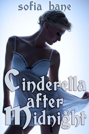 Book cover of Cinderella after Midnight