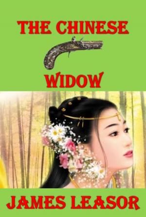 Book cover of The Chinese Widow