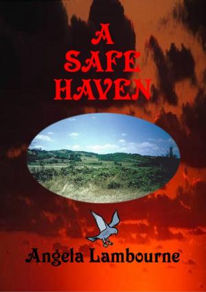 bigCover of the book A Safe Haven by 