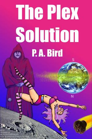 bigCover of the book The Plex Solution by 