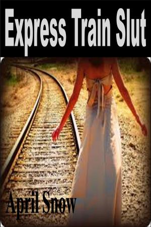 Cover of the book Express Train by Jeremy D. Hill
