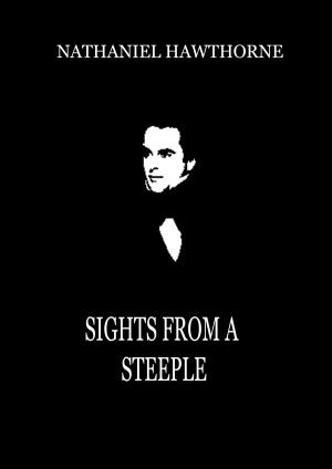 Book cover of Sights From A Steeple